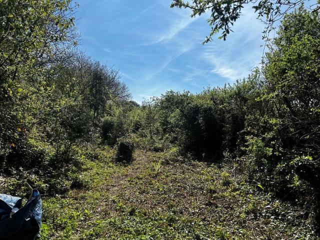 Land for sale in Tregew, Flushing