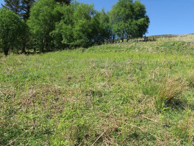 Land for sale in Scotland