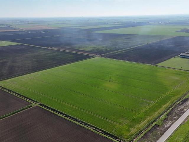 Land for sale in Barway, Cambridgeshire