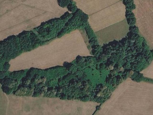 Commercial for sale in Carter's Clay, Test Valley