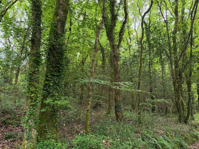 Land for sale in Tideford Cross, Cornwall