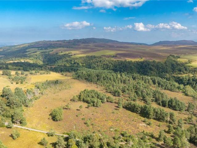 Land for sale in Scotland