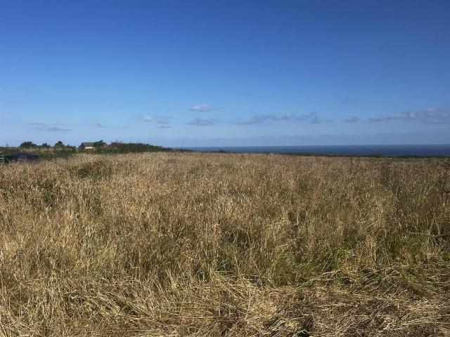 Land for sale in Penbeagle, Cornwall