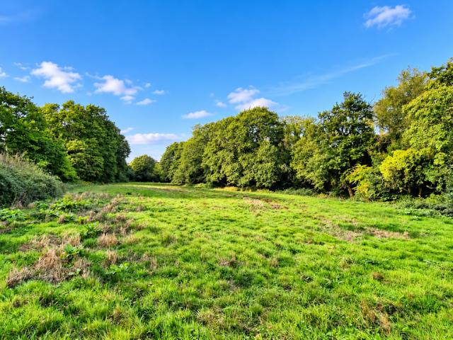 Land for sale in Angarrick, Mylor Bridge