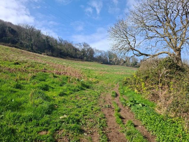 Land for sale in Slade, Kentisbury