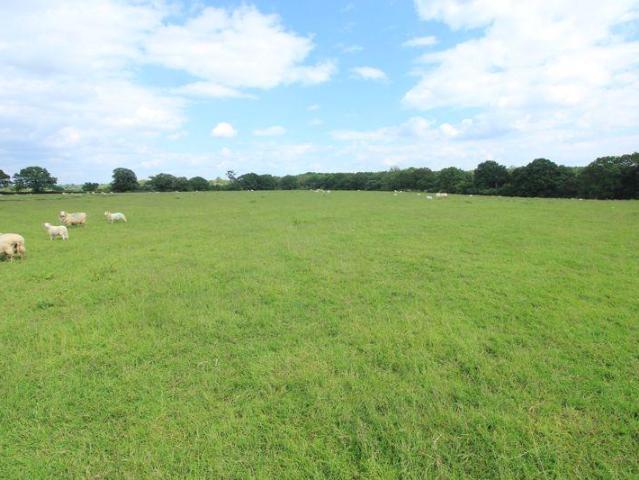 Land for sale in Wrexham, Sandy Lane