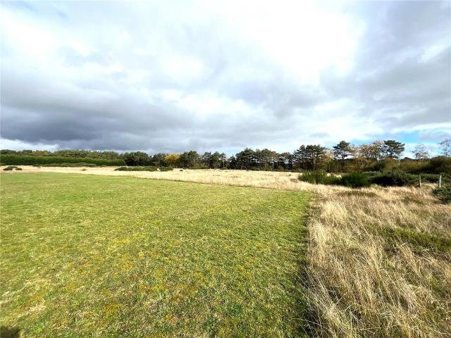 Land for sale in St Leonards, East Dorset