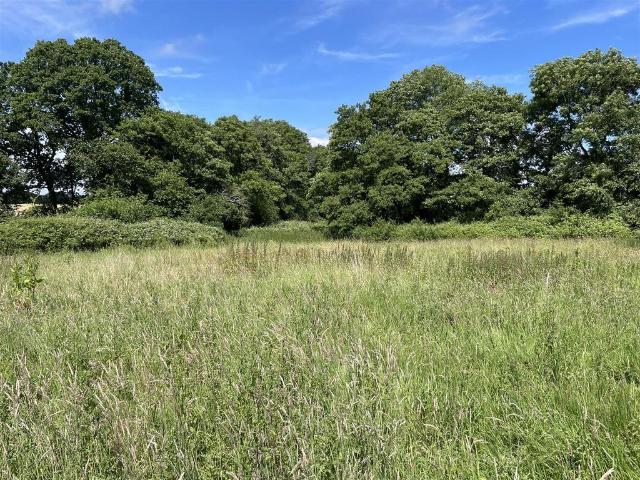 Land for sale in Somerset