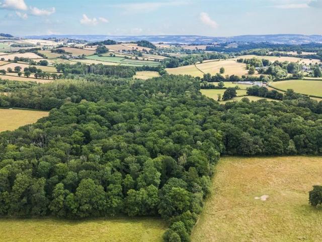 Land for sale in Bridford, Devon