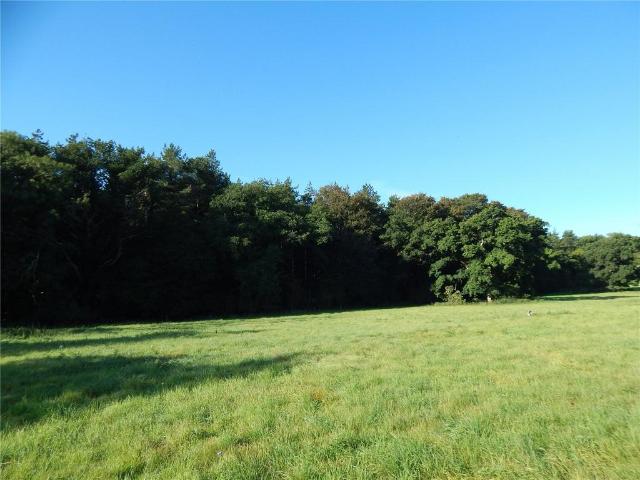 Land for sale in Burgh St Peter, Norfolk