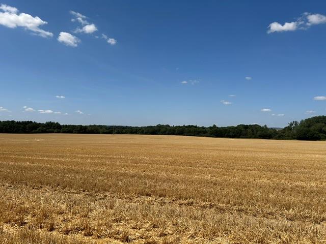 Land for sale in Badger, Shropshire