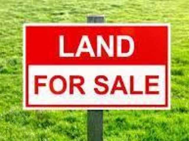 Land for sale in Eastbridge, Suffolk