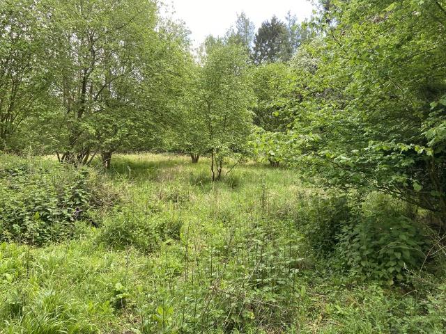 Land for sale in Barholm, Lincolnshire