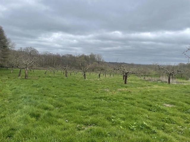 Land for sale in Sandown Park, Kent