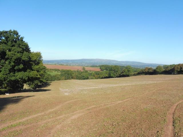Land for sale in Forthampton, Worcestershire