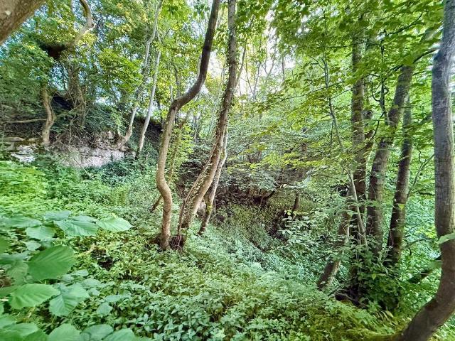 Land for sale in North Yorkshire