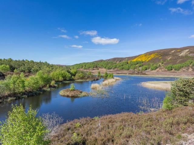 Land for sale in Milton, Scotland