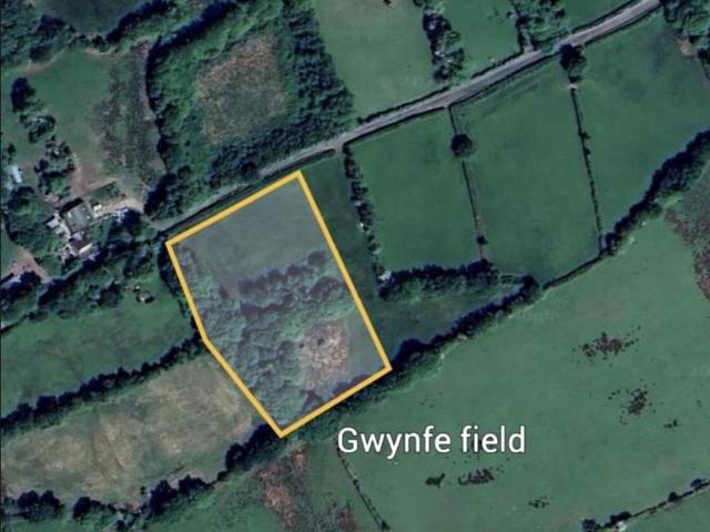 Land for sale in Llangadog, Capel Gwynfe