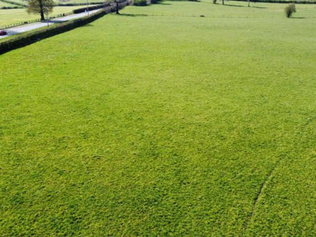 Land for sale in Gawsworth