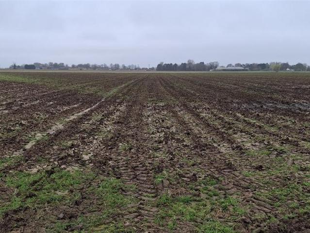 Land for sale in Boston, Lincolnshire