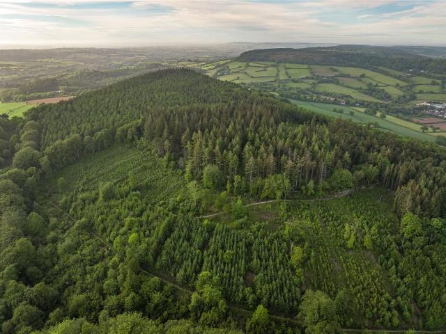 Land for sale in Budlake, Devon