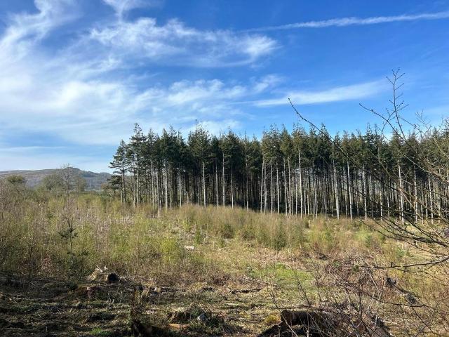 Land for sale in Ashburton, Bridford
