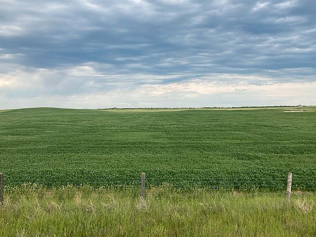 Land for sale in Medicine Hat, Alberta