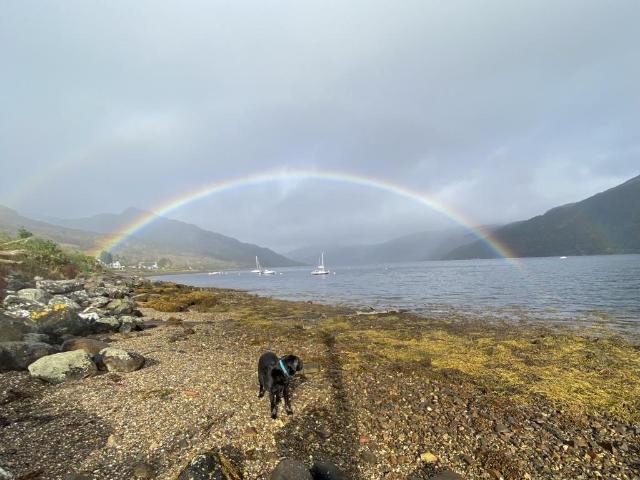 Land for sale in Carrick Castle, Scotland