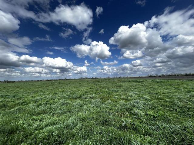 Land for sale in Barway, Cambridgeshire