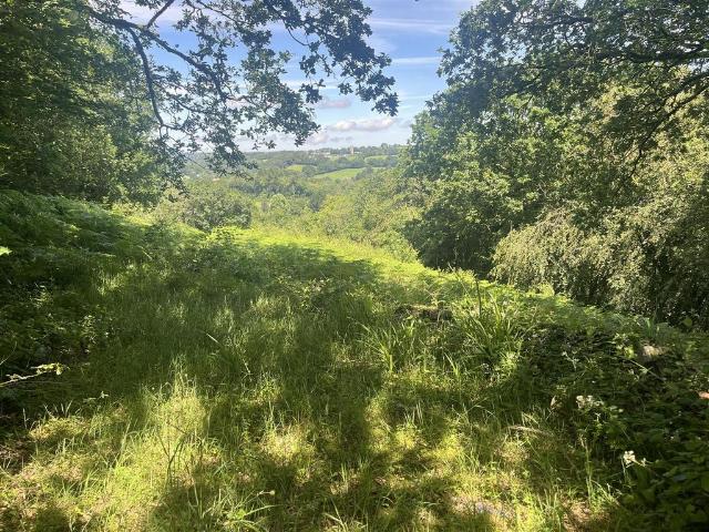 Land for sale in North Hill, Cornwall