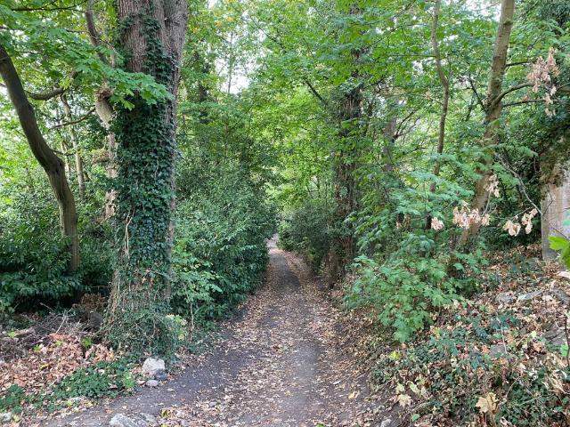 Land for sale in Mayford, Woking