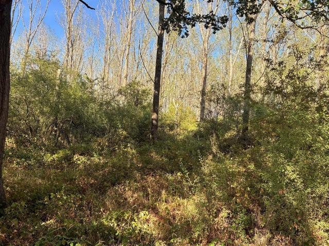 Land for sale in Pachesham Park, Surrey