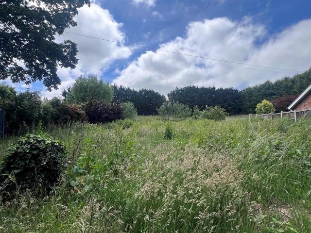 Land for sale in Crostwick, Norfolk