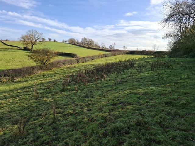Land for sale in Kingsley Moor, Isle Of Man