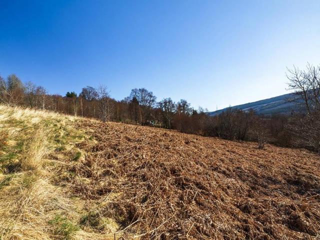 Land for sale in Scotland