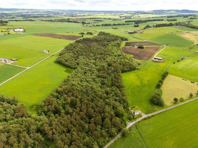 Land for sale in Lyne Of Skene, Scotland