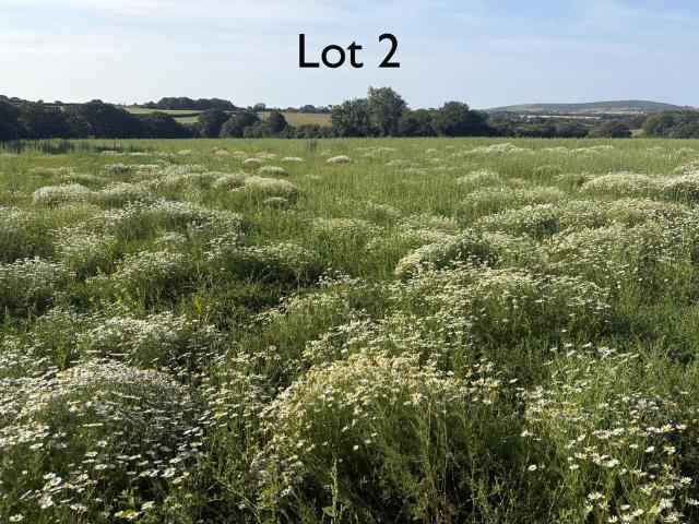 Land for sale in Leedstown, Cornwall