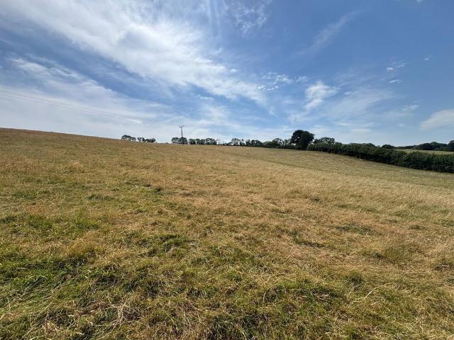 Land for sale in Ermington, South Hams