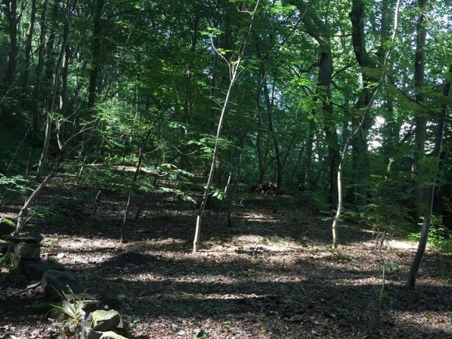Land for sale in Lower Hagg, Kirklees