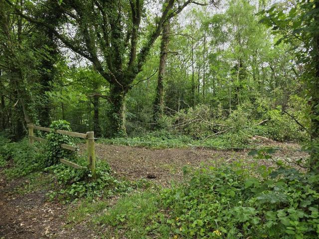 Land for sale in Kingsley Moor, Staffordshire