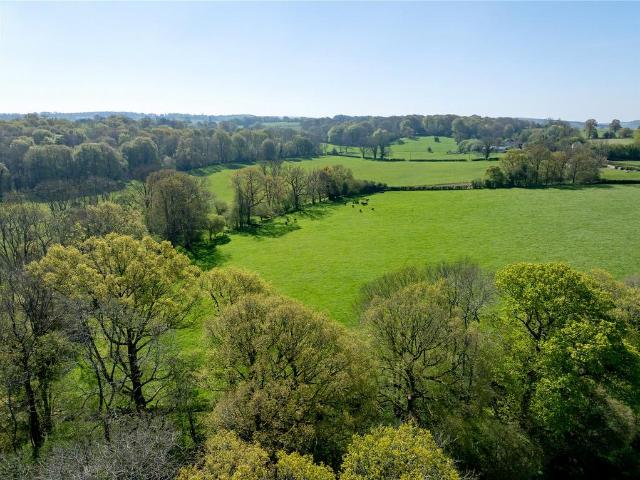Land for sale in East Meon, East Hampshire