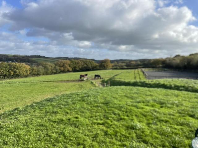 Land for sale in King's Nympton, Kentisbury