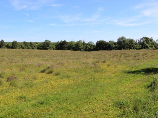 Land for sale in Bickramside, Fife