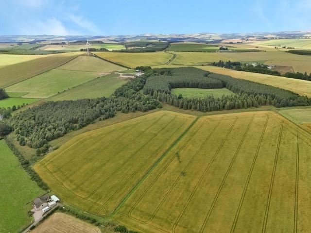 Commercial for sale in Scotland