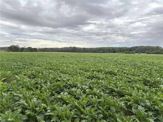 Land for sale in Carcroft, South Yorkshire