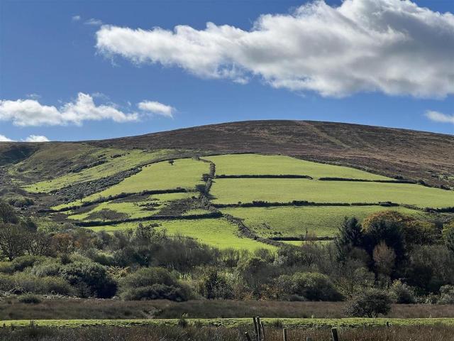 Land for sale in Castlebythe, Puncheston