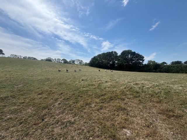 Land for sale in Ermington, South Hams