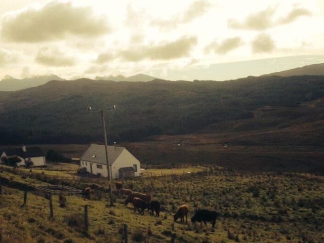 Land for sale in Scotland