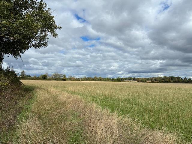 Land for sale in Fossebridge, Gloucestershire