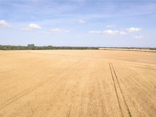 Land for sale in Beeford, East Riding Of Yorkshire